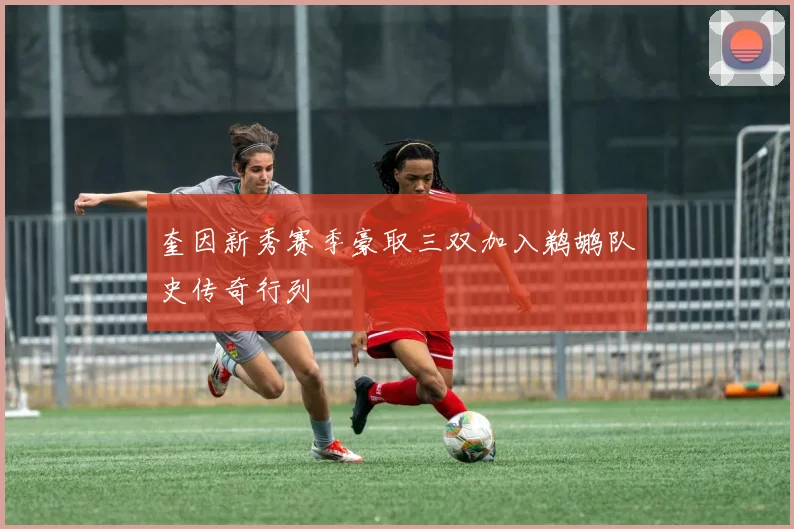 奎因新秀赛季豪取三双加入鹈鹕队史传奇行列