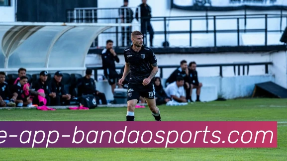 半岛体育APP 体育赛事宣传图